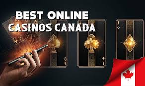 The Best Gambling Website Your Ultimate Guide to Online Betting