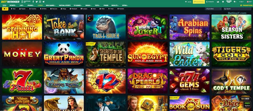 Explore the BetWinner Platform Your Ultimate Betting Destination