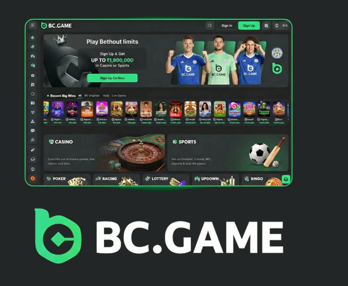 Exploring the Features and Benefits of BC.Game Platform